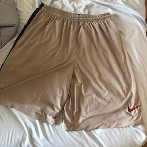 Nike Dryfit athletic shorts, Large